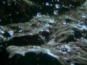 Duración 9:57 agua, Ciclo, Medio ambiente