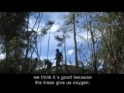 Duración 3:31 Mitigación, Compensación, Huella de Carbono, CO2, Cambio climático, Bosques, Deforestación, Conservación, Biodiversidad